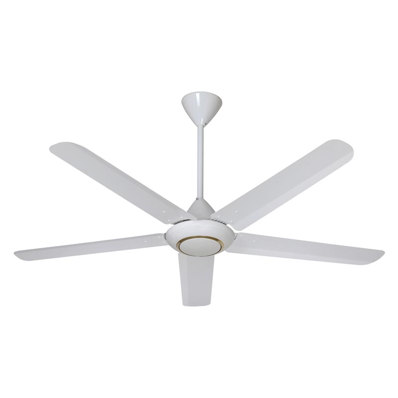 How Can a Celing Fan Transform Your Home Comfort?